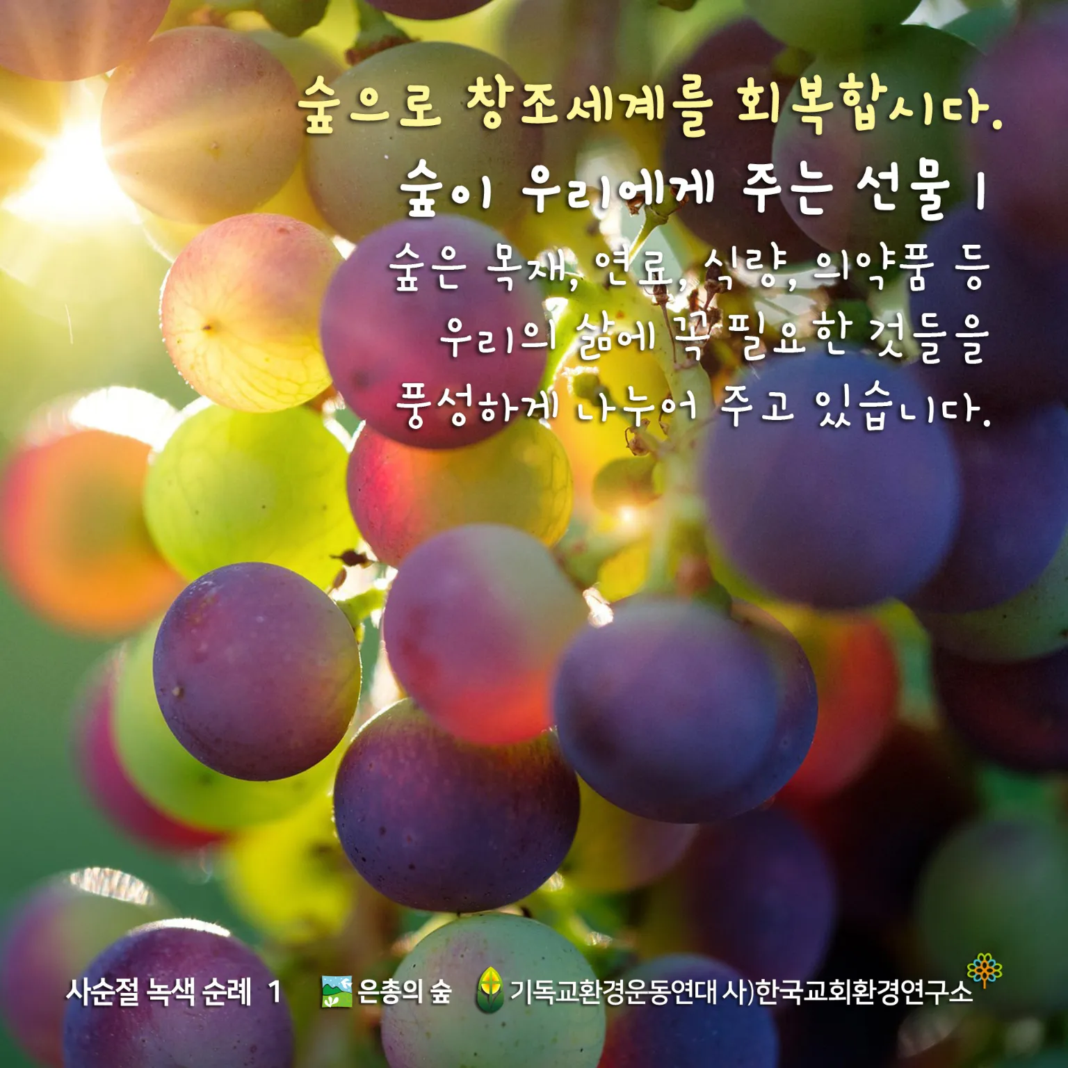KakaoTalk_20250305_205757851.jpg