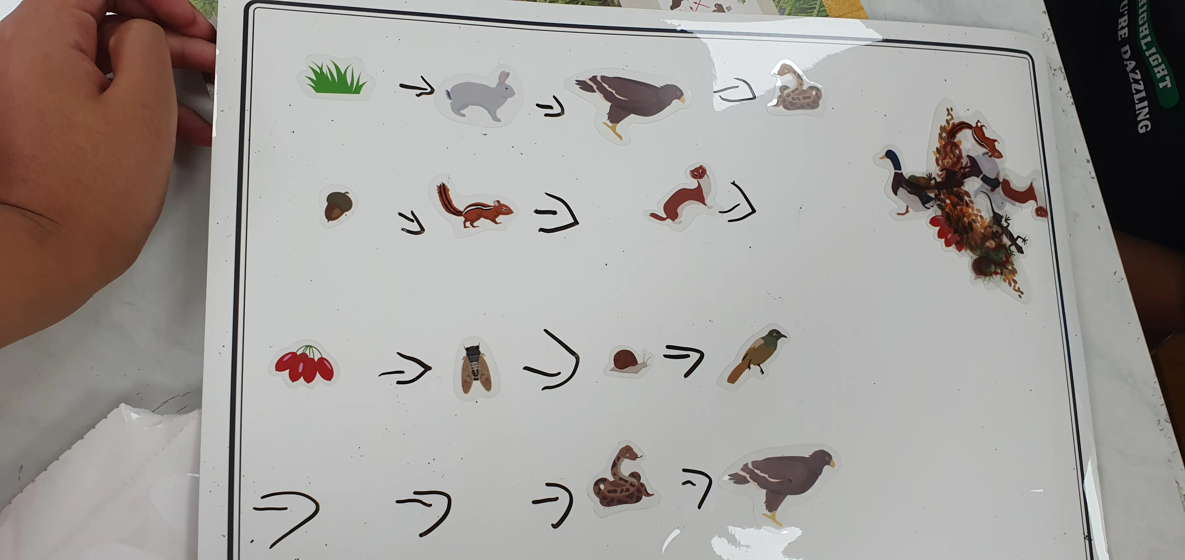 20230907_101740.jpg