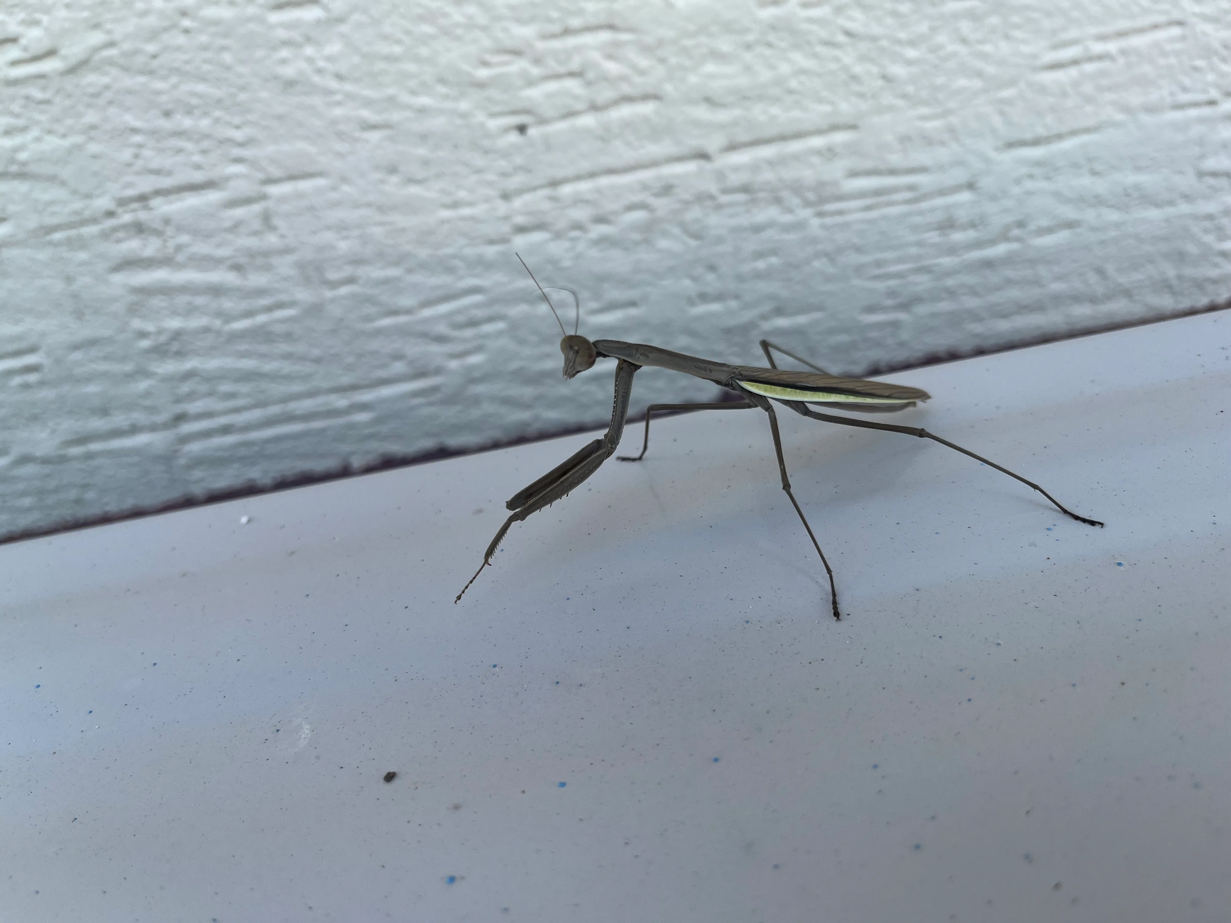 IMG_0297.jpeg