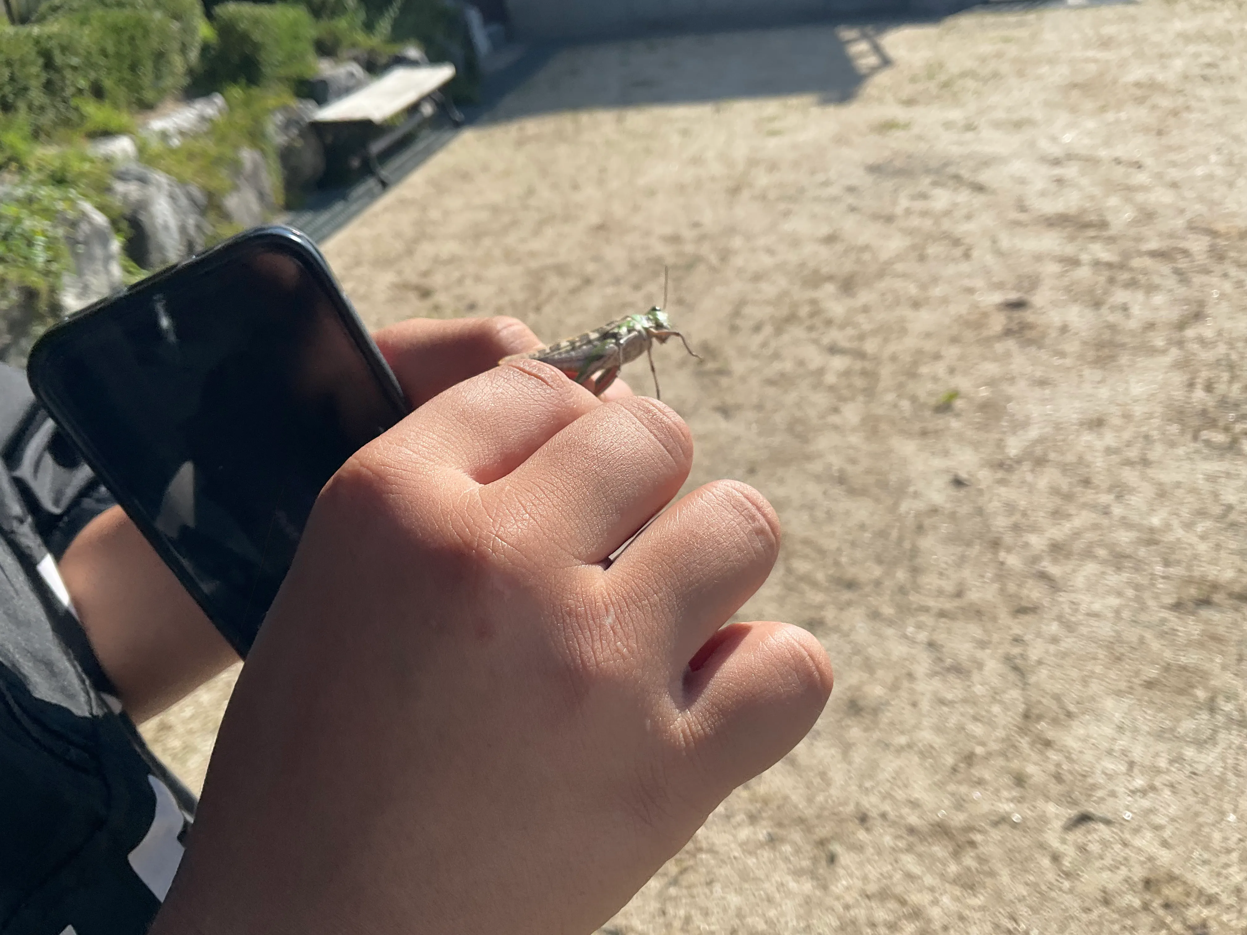 IMG_3620.jpeg