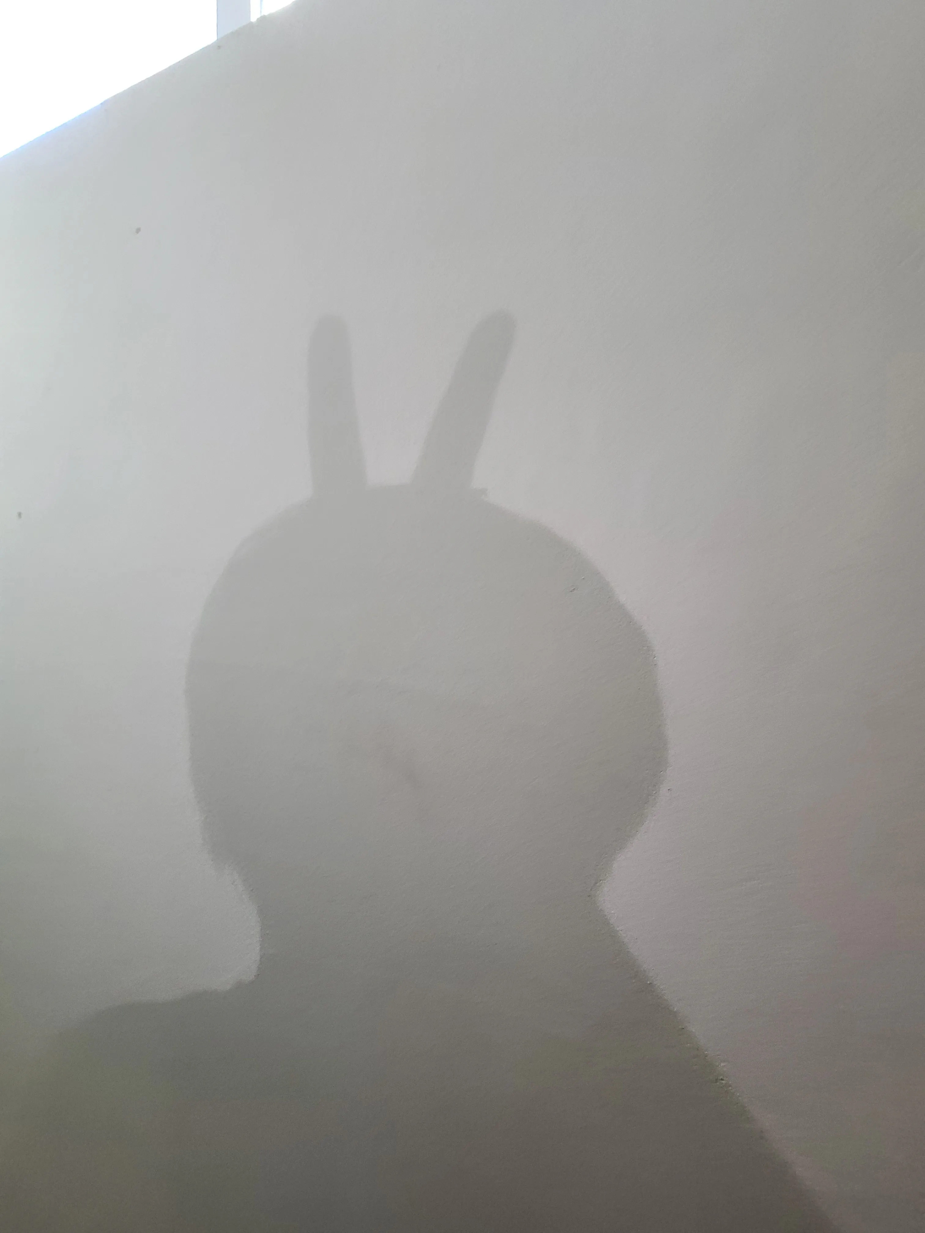20230925_110958.jpg