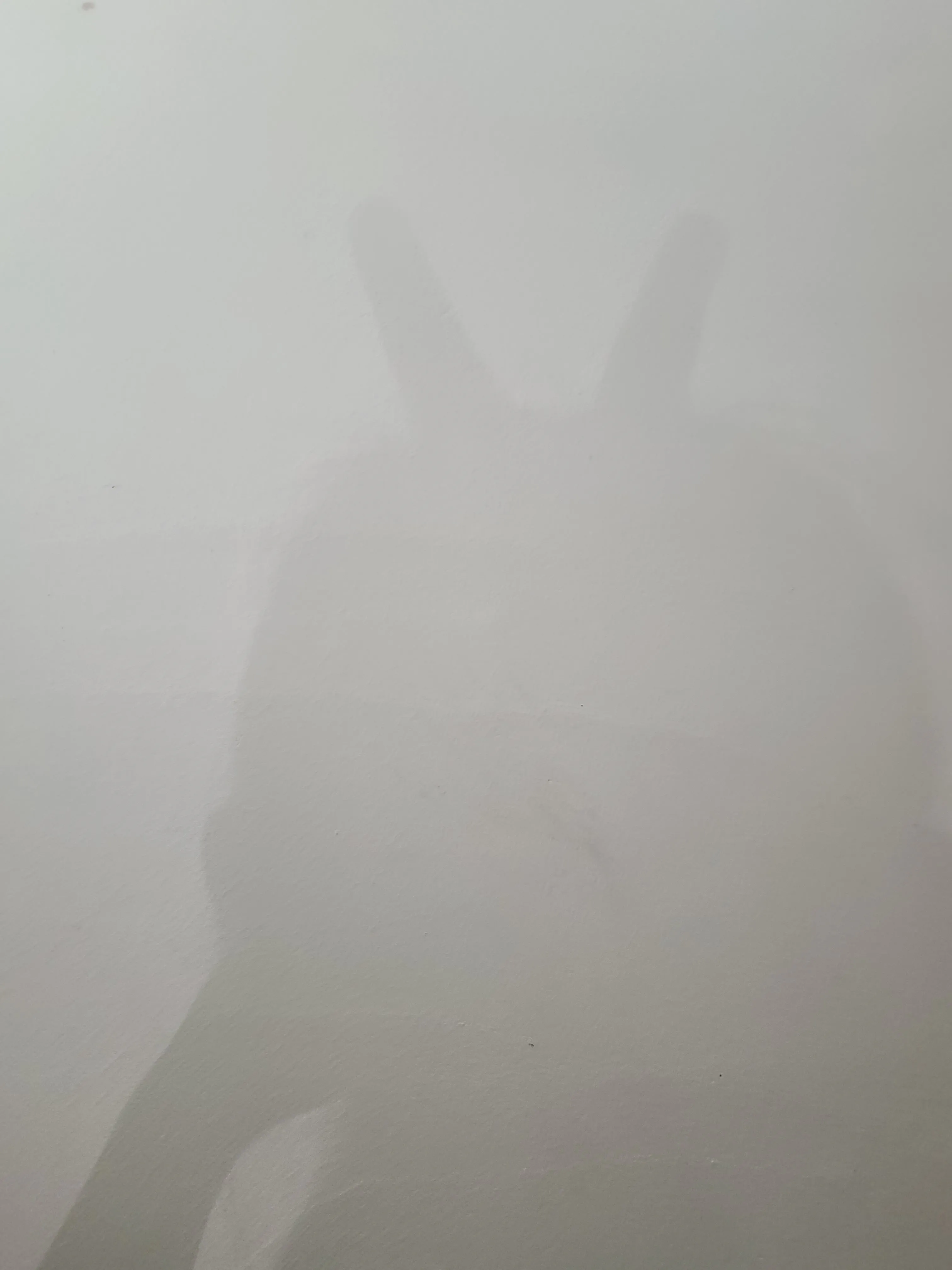 20230925_111223.jpg
