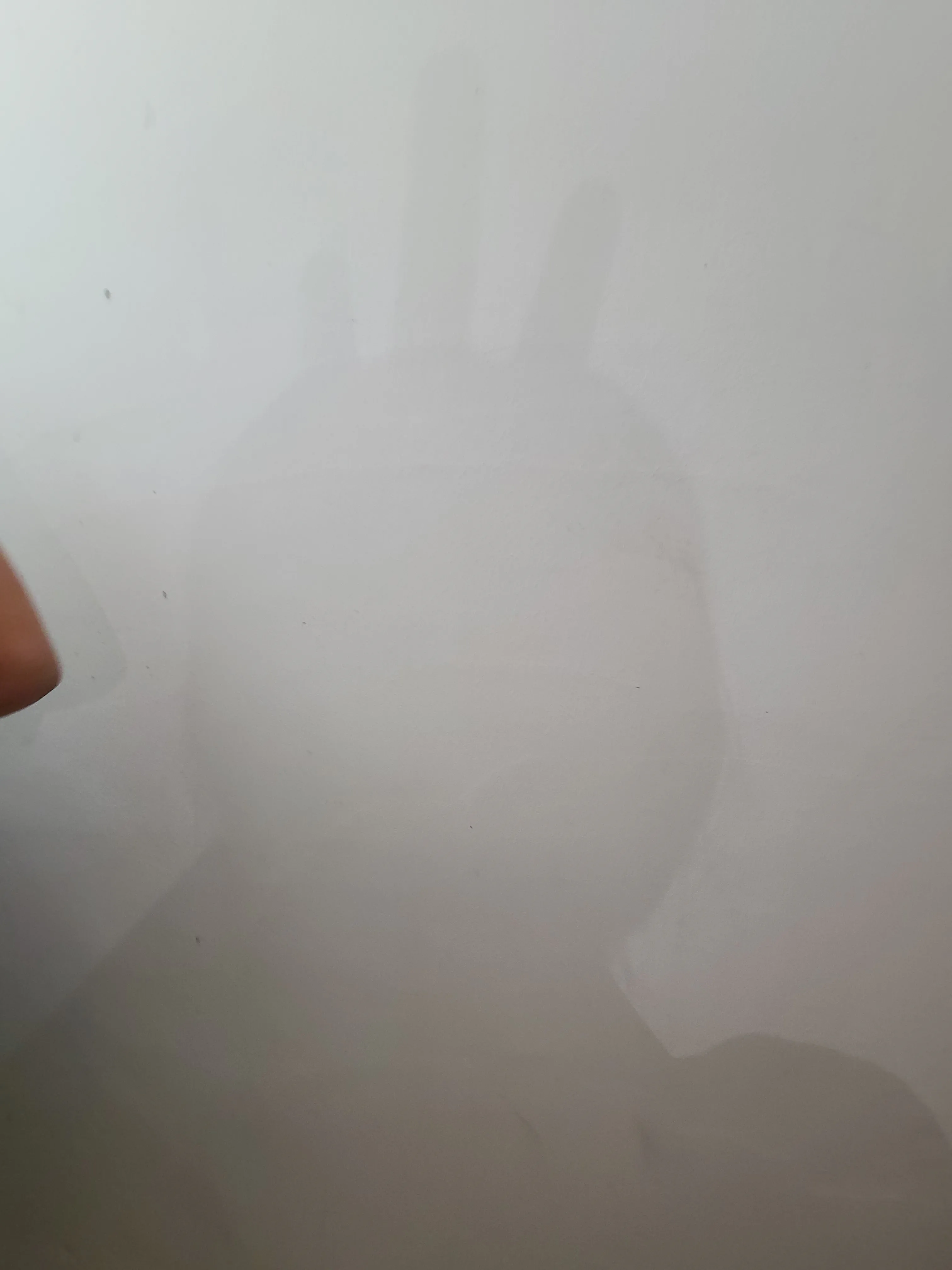 20230925_111345.jpg