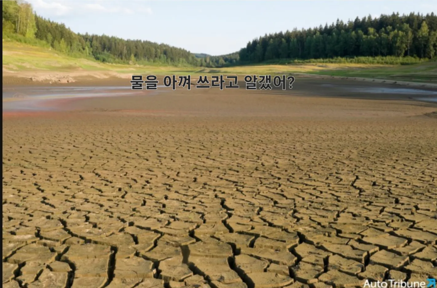 Screenshot_20241218_135423_NAVER.jpg
