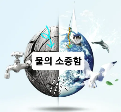 Screenshot_20241218_140006_Chrome.jpg