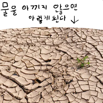 __16_20241218141105.png